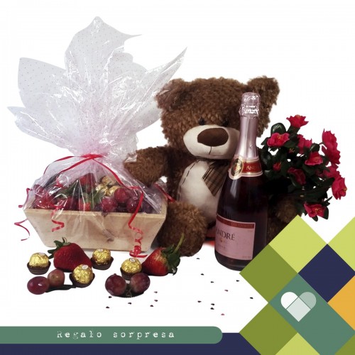 Peluche con Chocolates